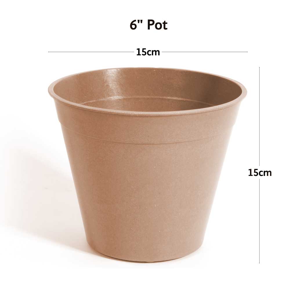 Bamboo Pot 6" Terracotta