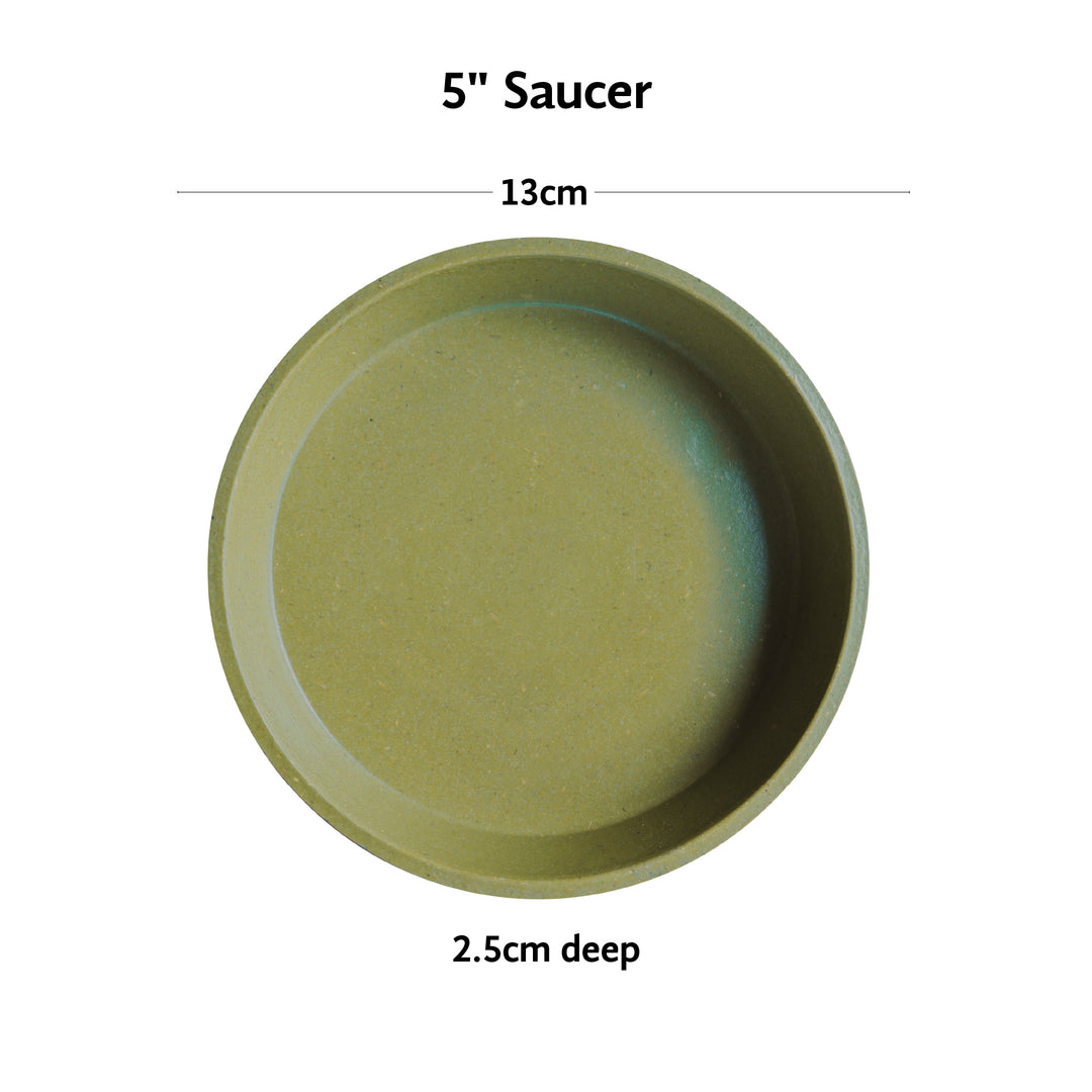 Bamboo Saucer 5" Sage Green
