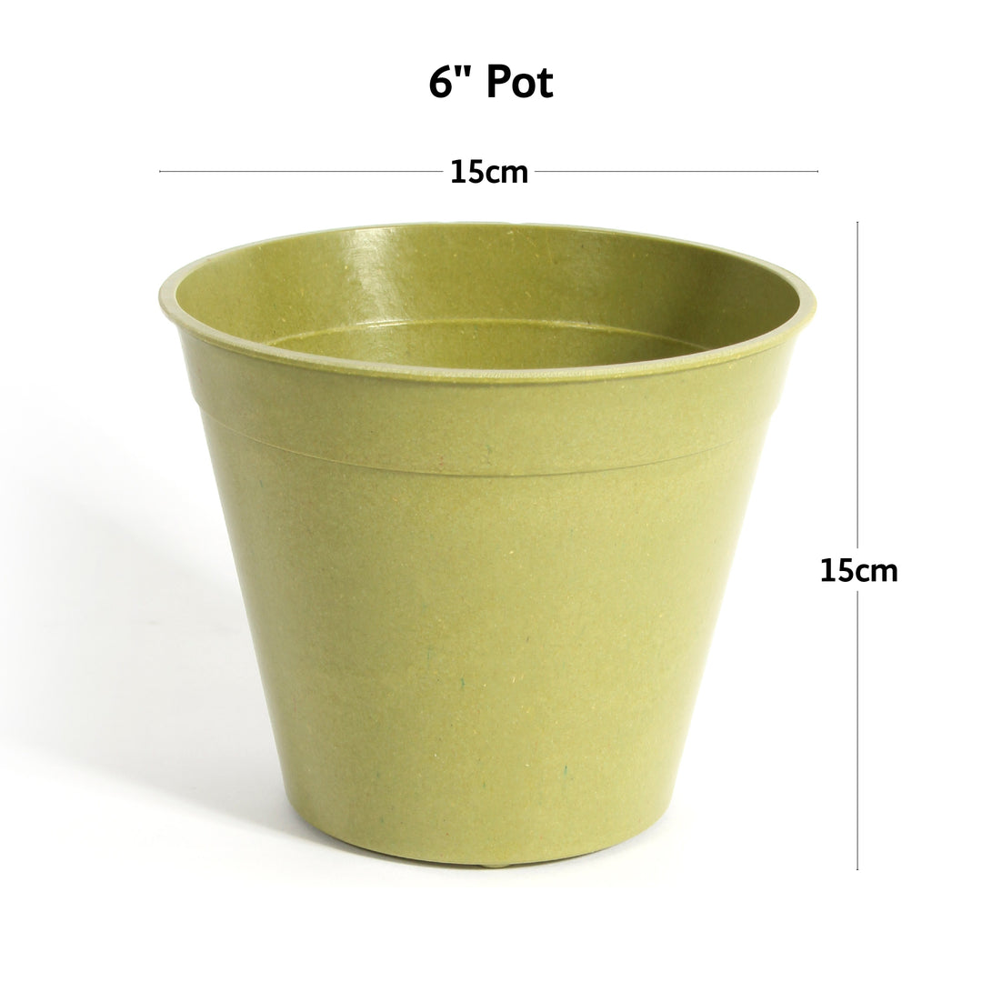 Bamboo Pot 6" Sage Green