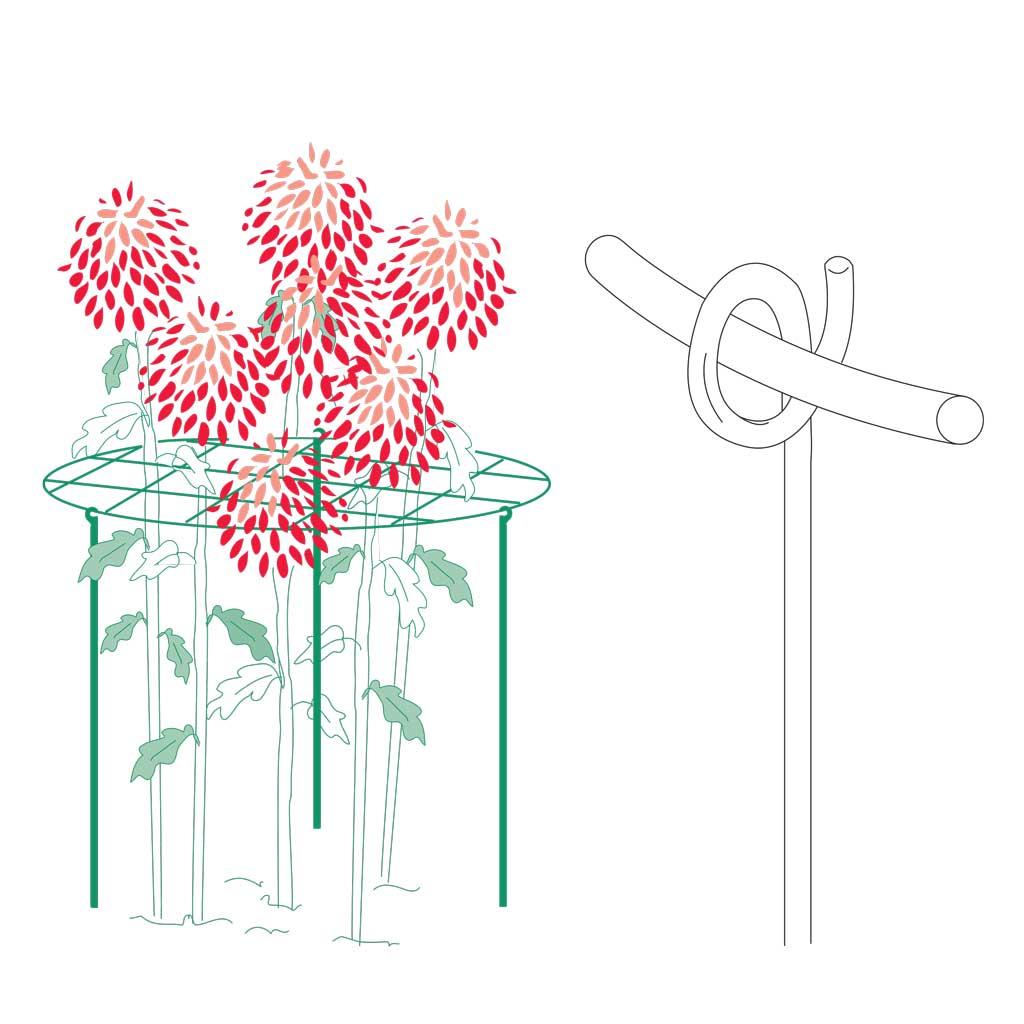Flower Frame diameter 455cm Legs 91cm