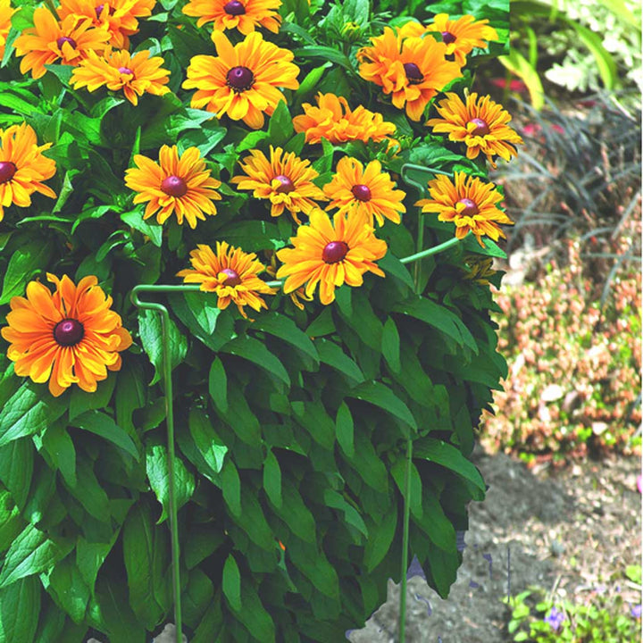 Border Support Legs 90cm 46cm Wide