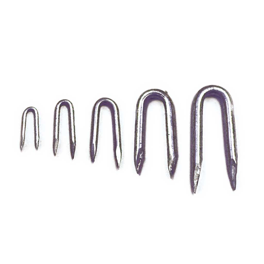 Galvanised Staples 25mm