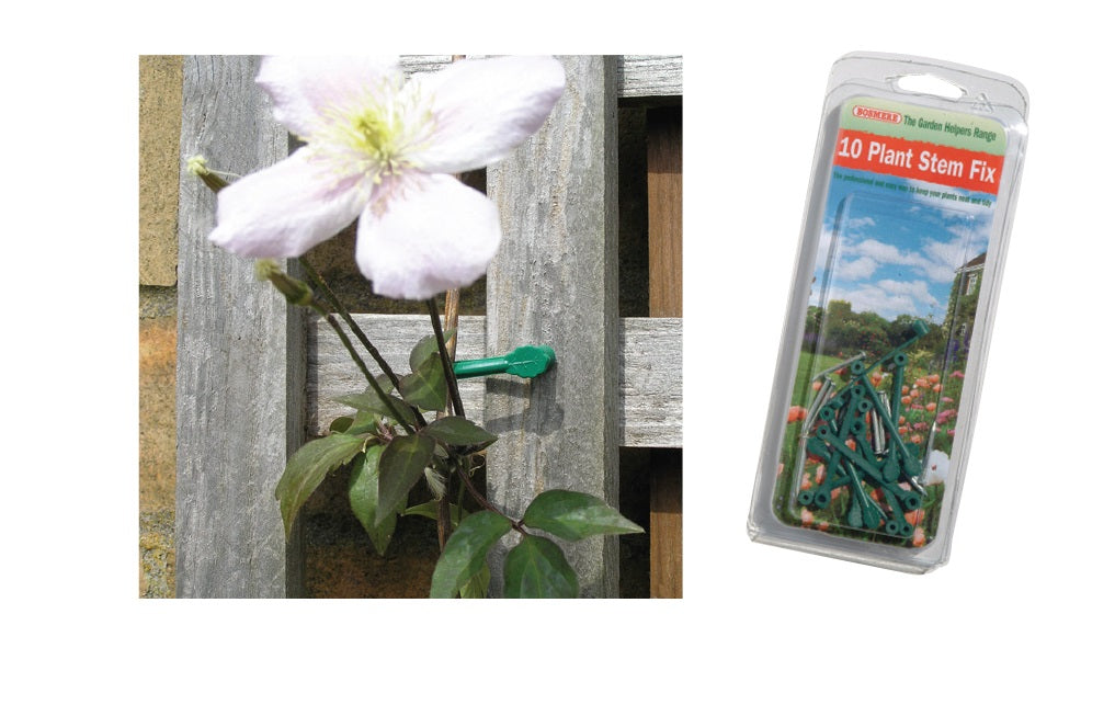 10 Plant Stem Fix