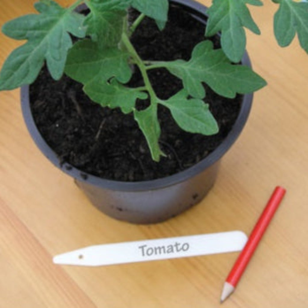 25 Plant Labels 10cm(4in) With Pencil