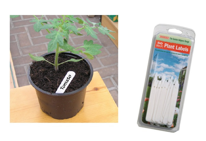 50 Plant Labels 10cm (4in)