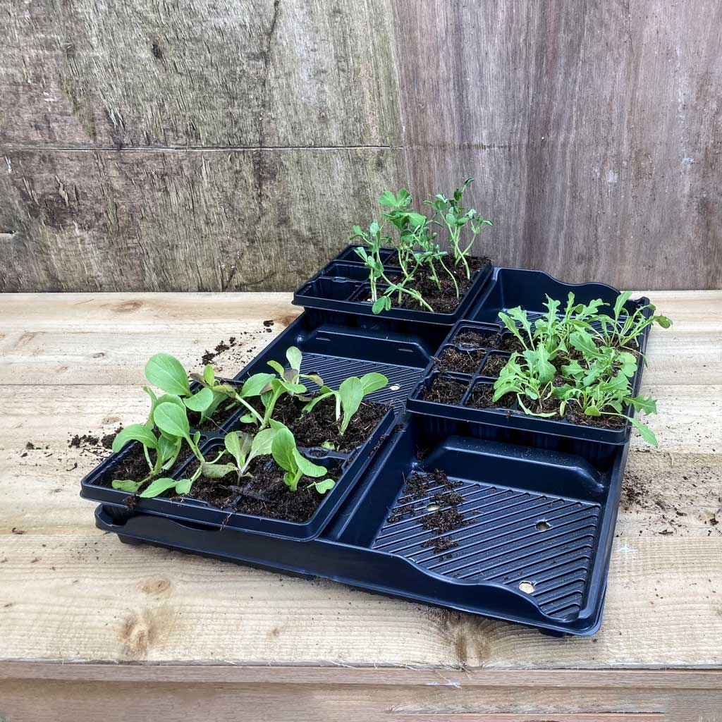 Modular Carry Tray - (2)