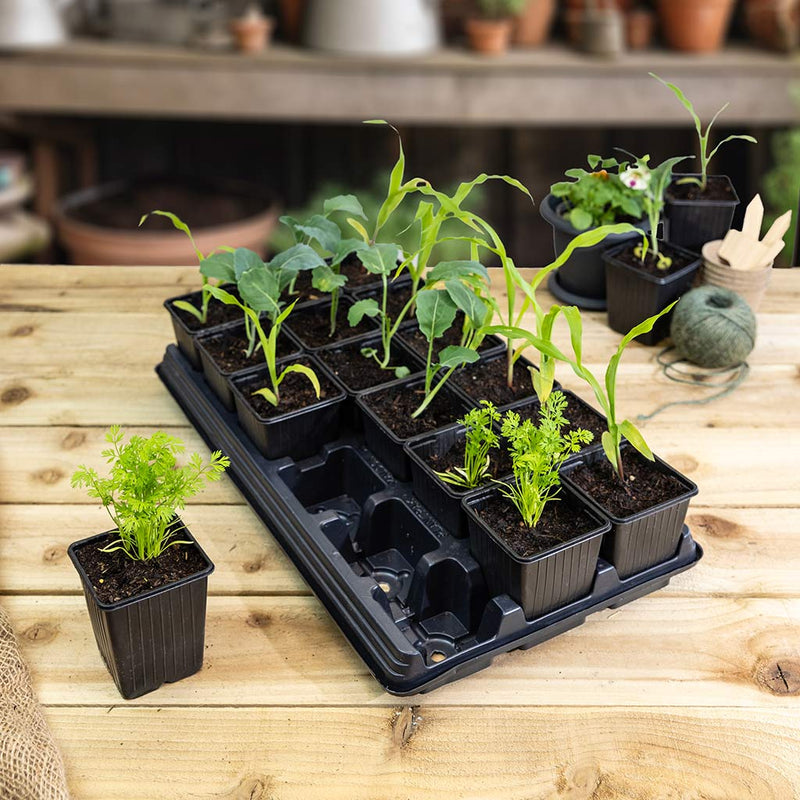 Vegetable Growing Tray with Veg Pots & Tray 18cm x 9cm