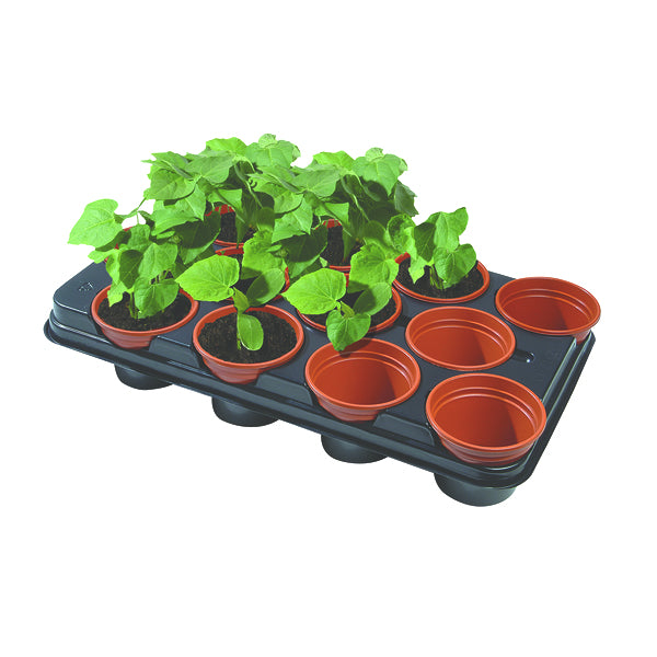 Growing Tray