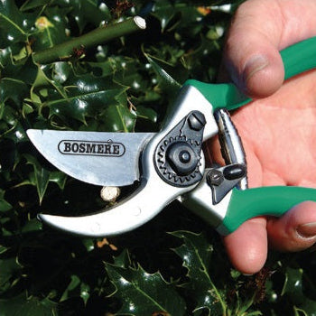 Professional Bypass Secateurs