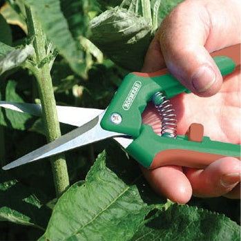 Sp Garden Snips