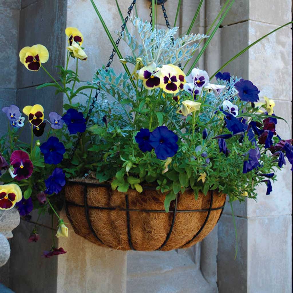 Hanging Basket Steel Plate 40cm with Coco Liner