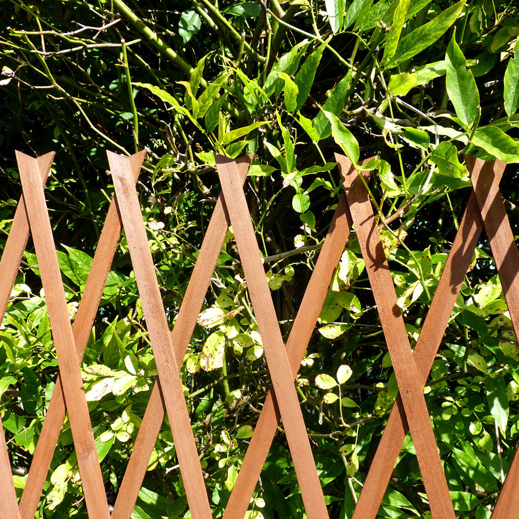 Expanding Trellis Flat Timber Brown H180cm W60cm