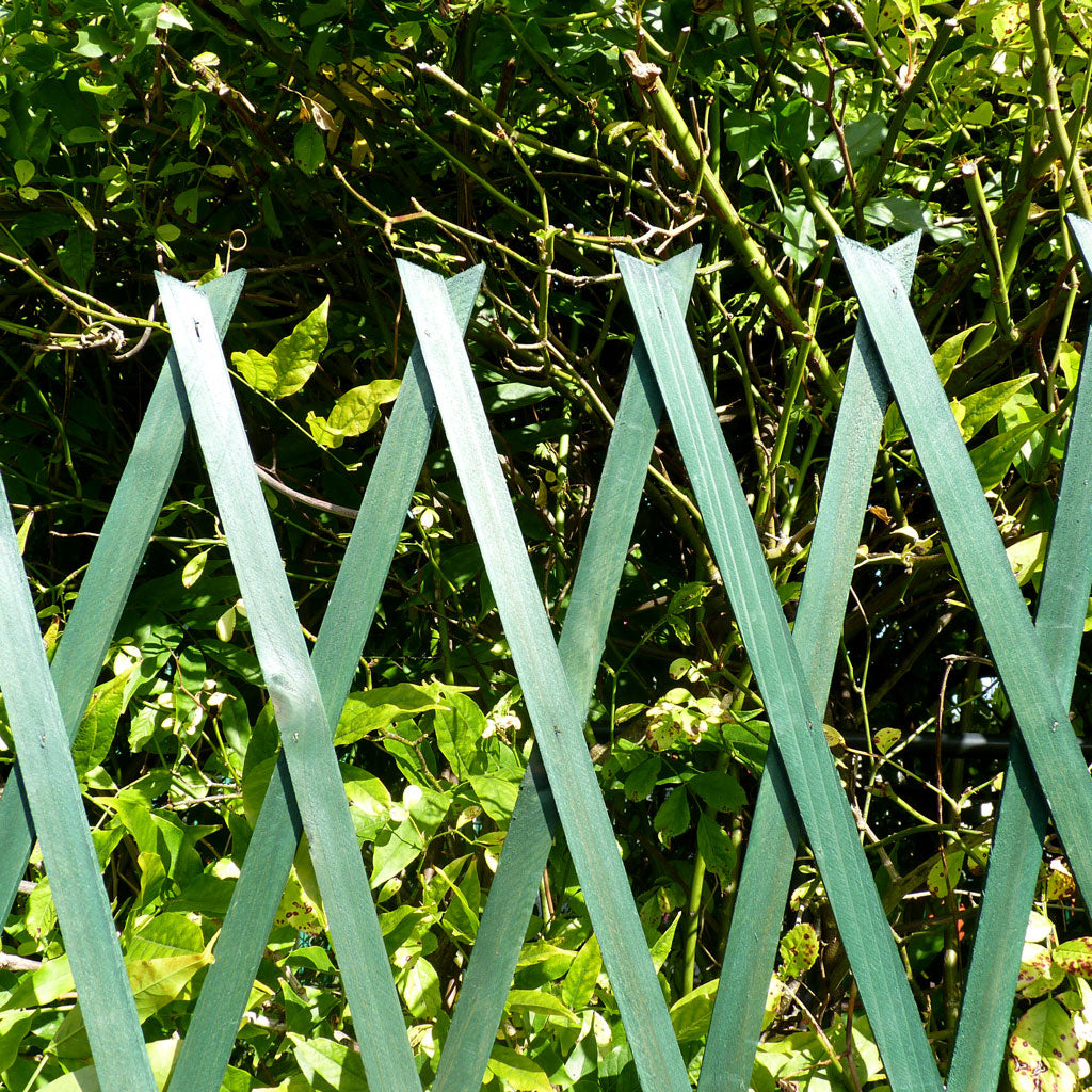 Expanding Trellis Timber Green H180cm W30cm
