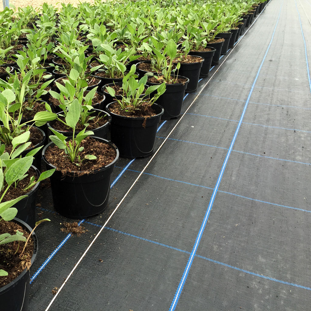 Permatex Heavy Duty "Weedblock" Premium (Blue Grid) 3m x 100m