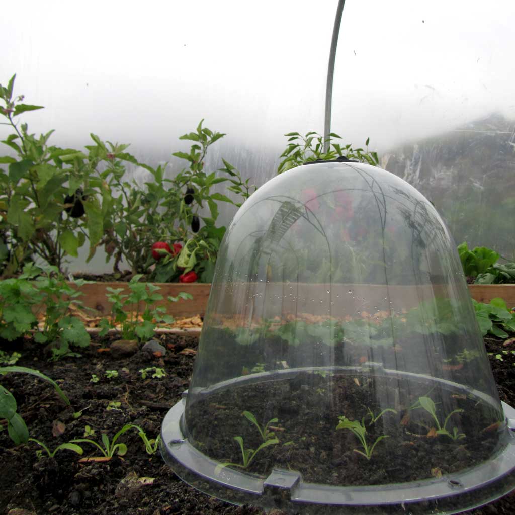 haxnicks original victorian bell cloche in foggy garden
