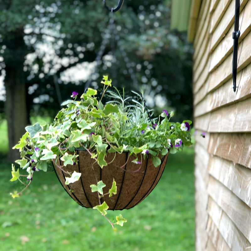 York Deluxe Hanging Basket with Coco Liner 14" 35cm