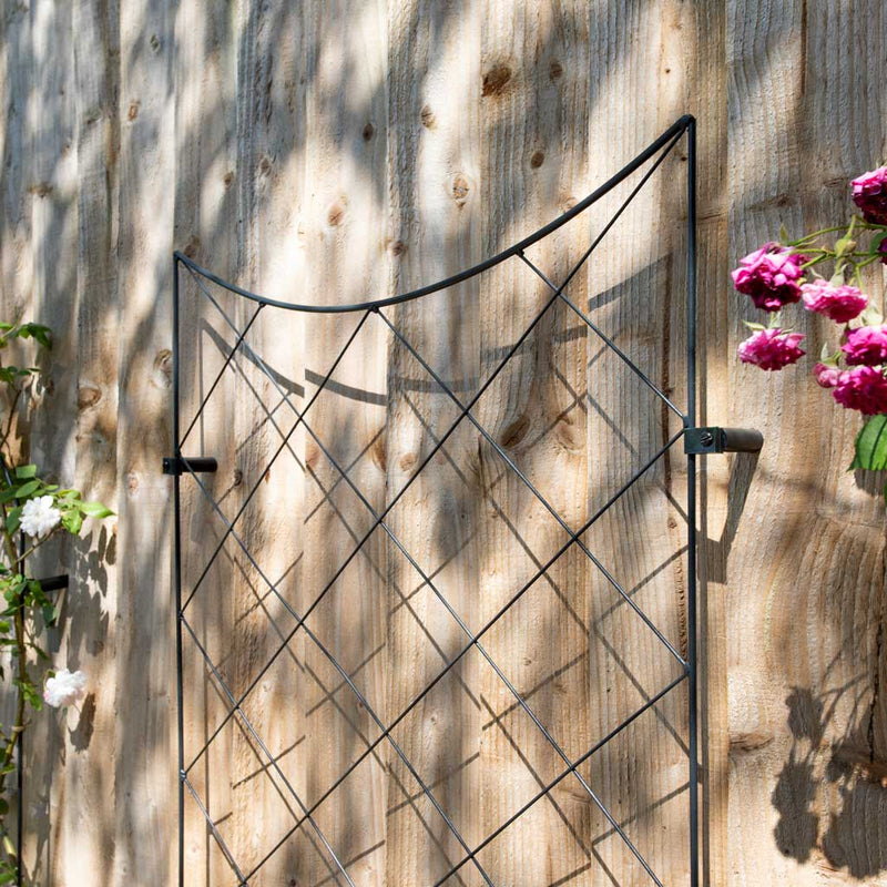 Crescent Wall Trellis