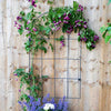 Round Wall Trellis
