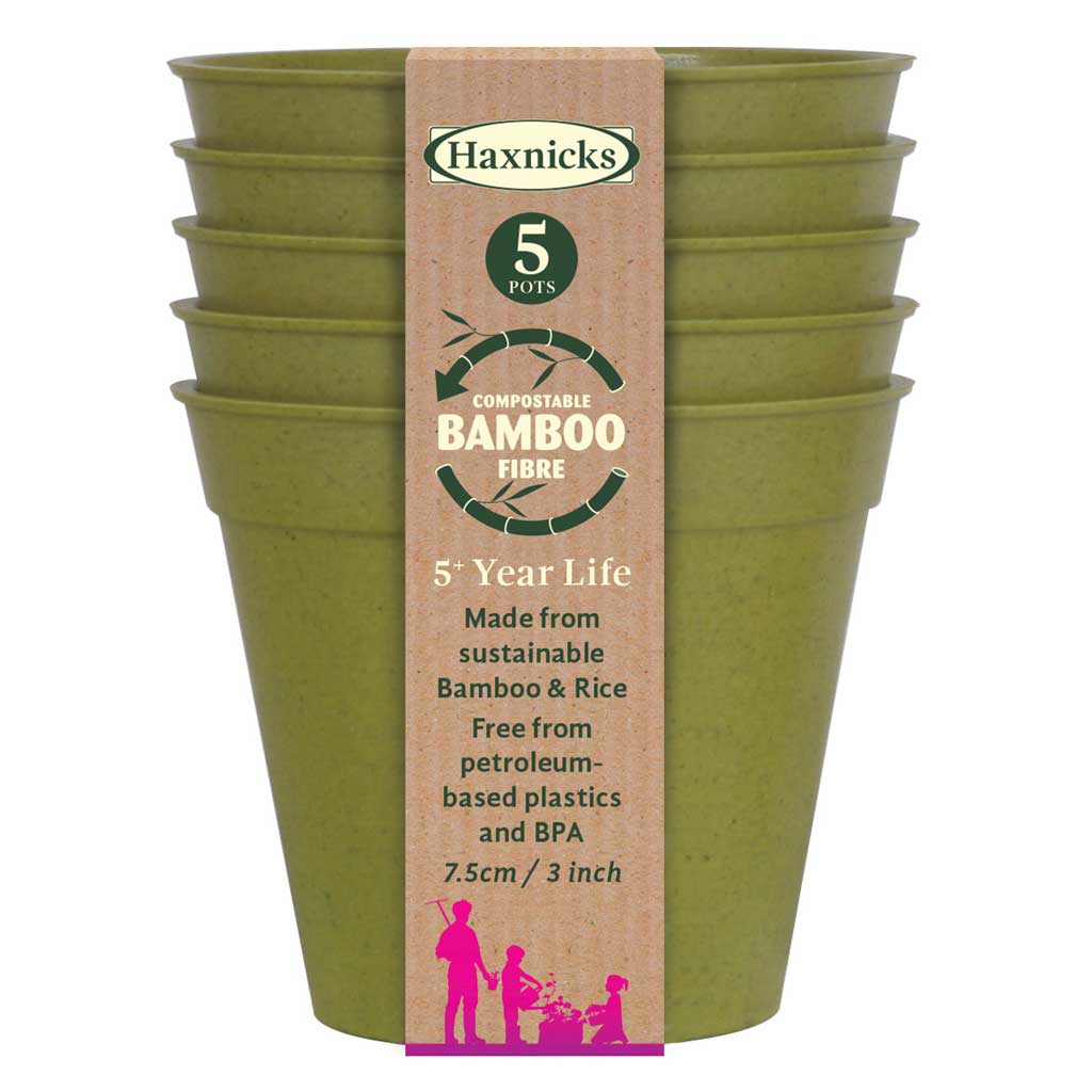 bamboo pots sage green packshot