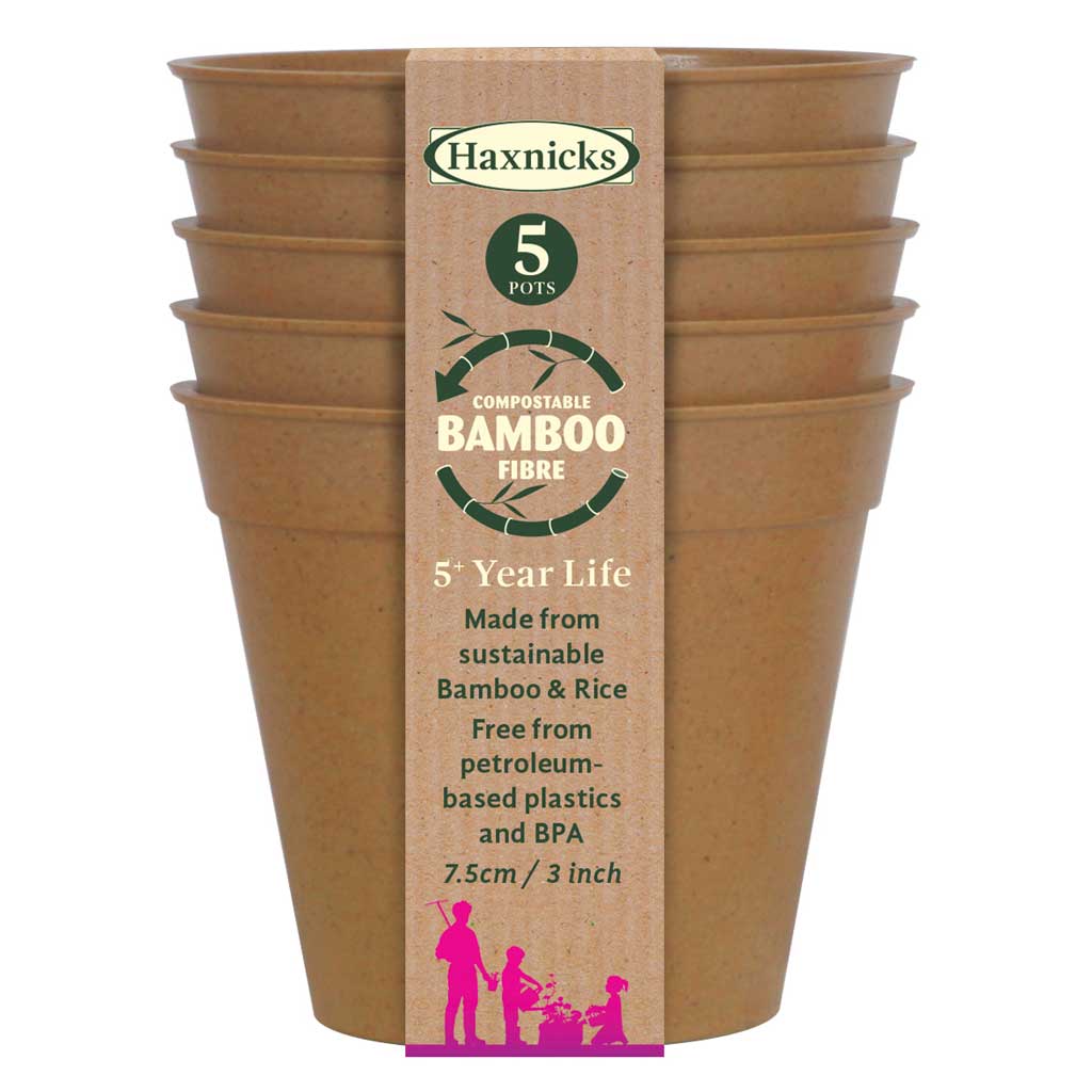 Set of Haxnicks compostable bamboo fibre pots with packaging on a white background