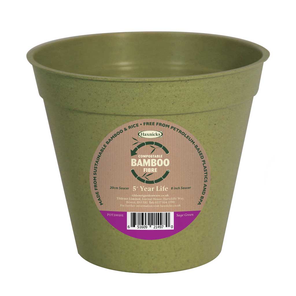 bamboo plant pot sage green packshot
