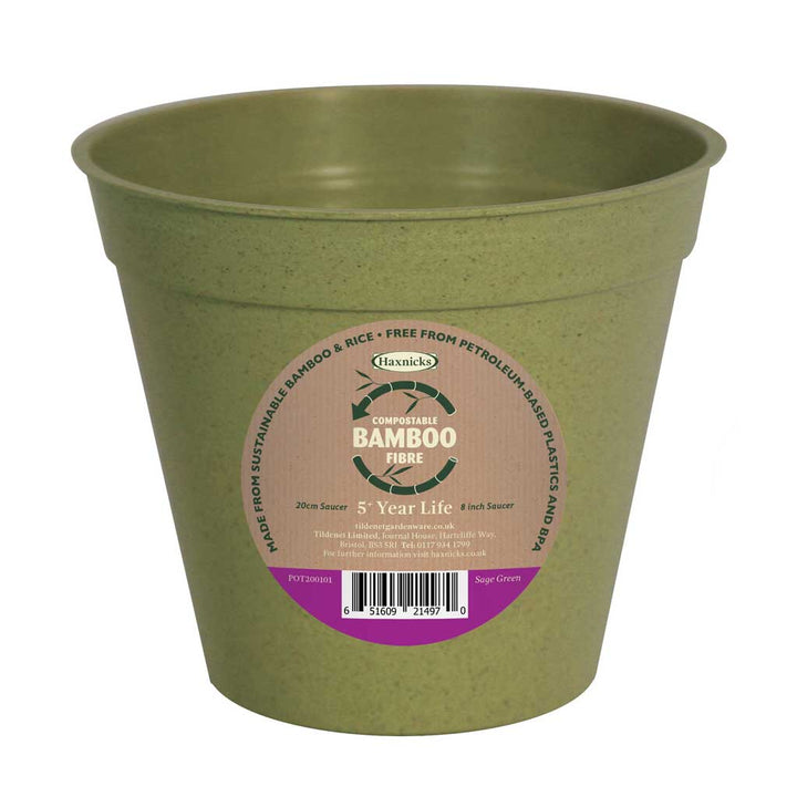 bamboo plant pot sage green packshot
