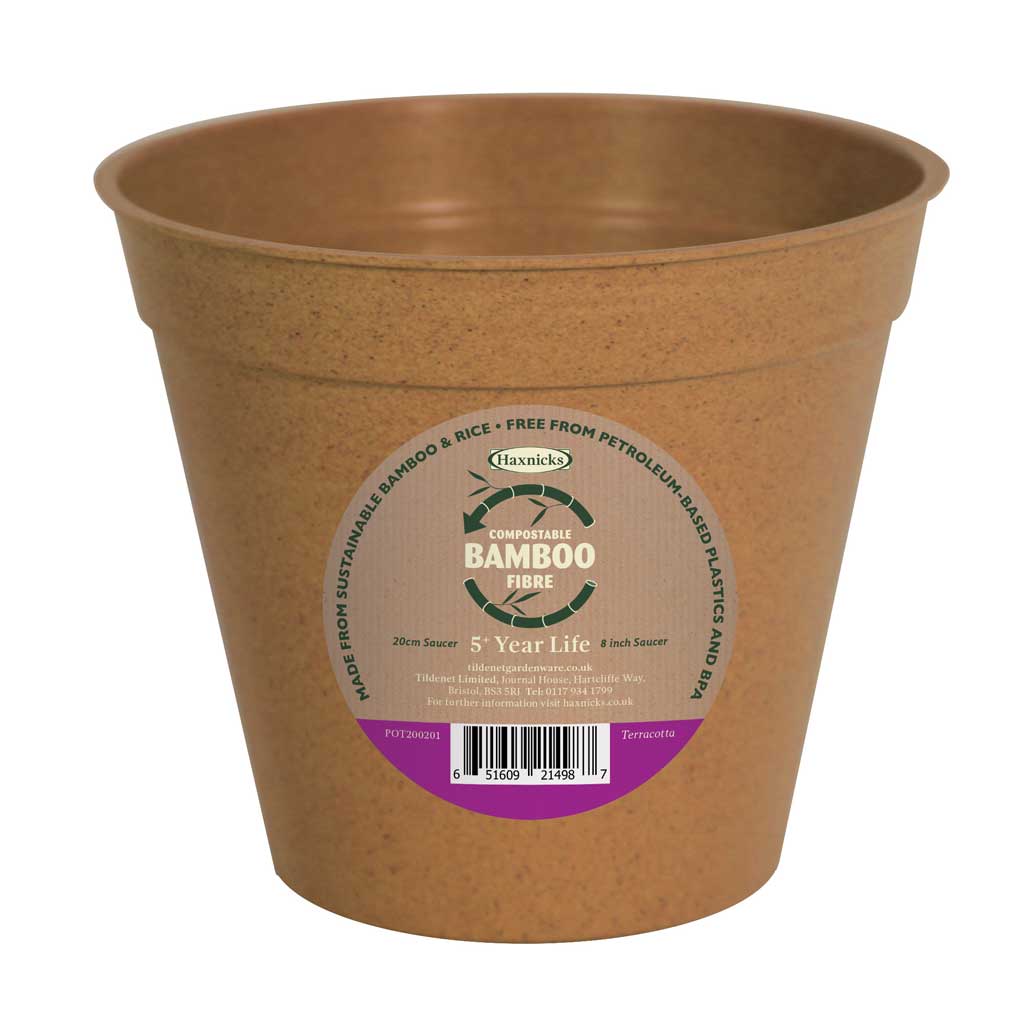 terracotta plant pot bamboo packshot