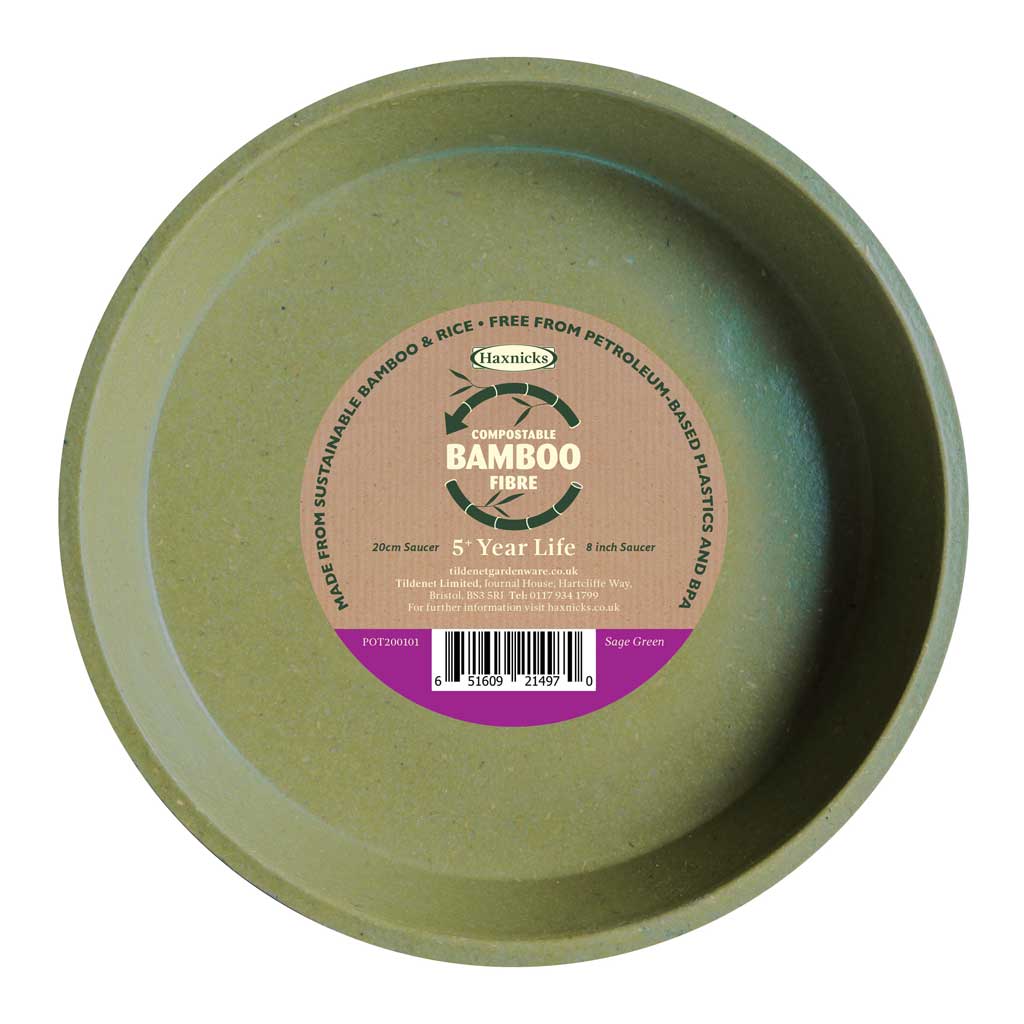 bamboo 8 inch saucer compostable sage green