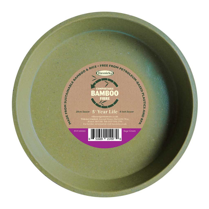 bamboo 8 inch saucer compostable sage green
