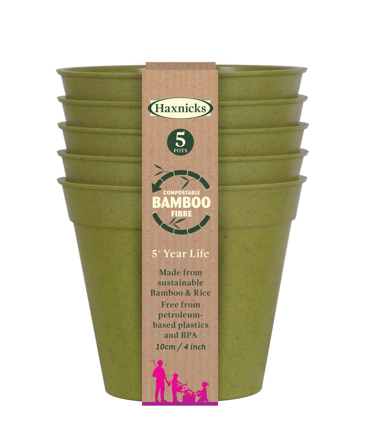 haxnicks bamboo compostable pot 4 inch packshot sage green