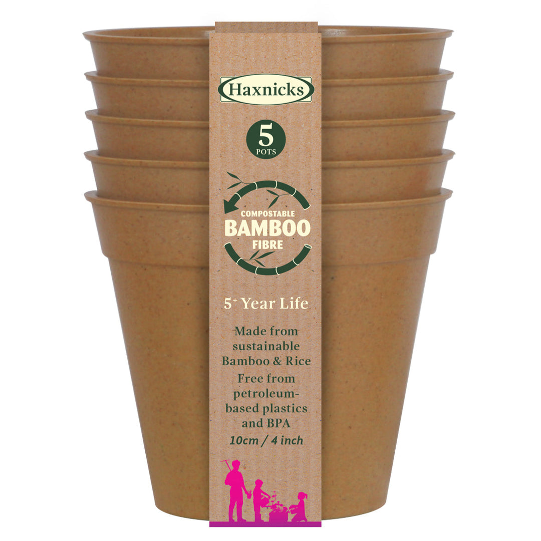 bamboo pots terracotta packshot