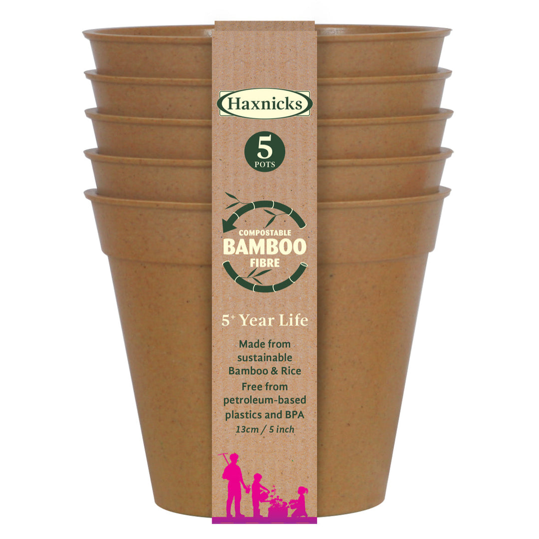 Set of five terracotta bamboo pots with a Haxnicks label on a white background