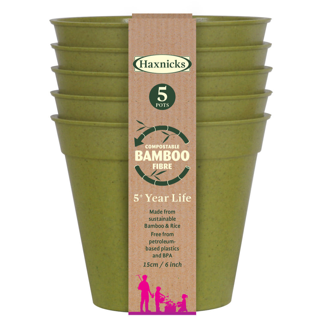 haxnicks sage green bamboo pot packshot