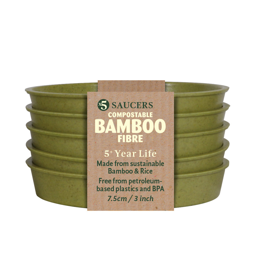 bamboo saucer sage green packshot white background