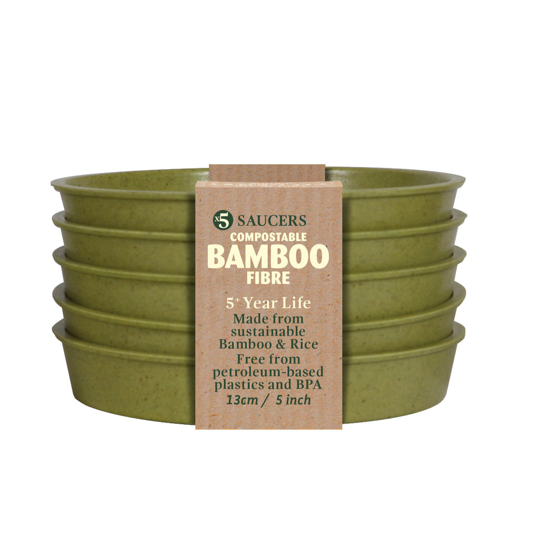 bamboo saucers sage green 