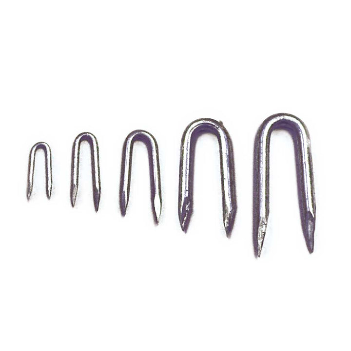 Galvanised Staples 30mm - (50)