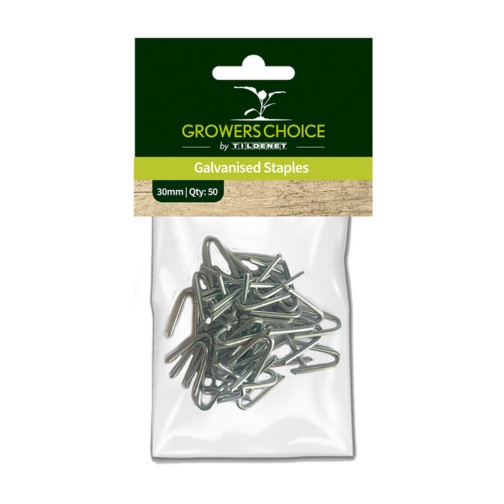 Galvanised Staples 30mm - (50)