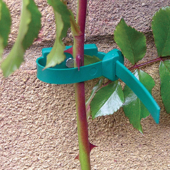 Wall Ties [8]