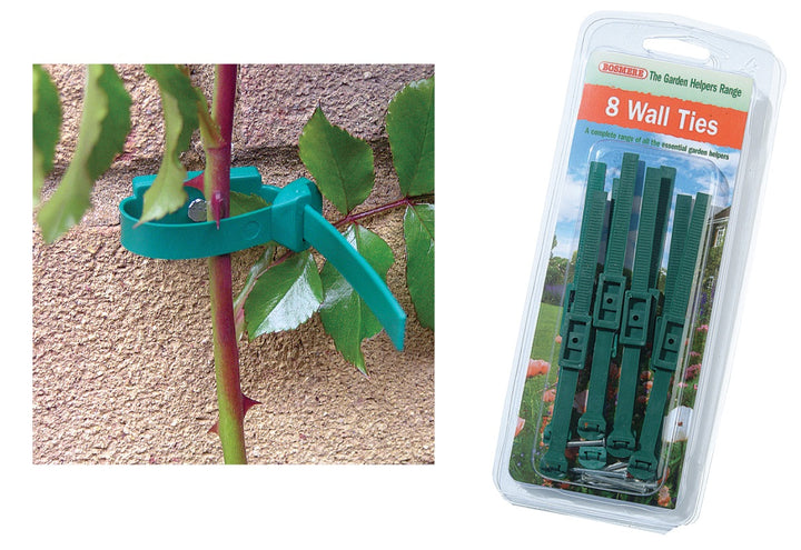 Wall Ties [8]
