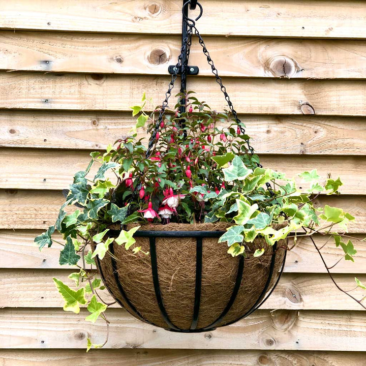 Pre-formed Coco Basket Liner 14" 35cm