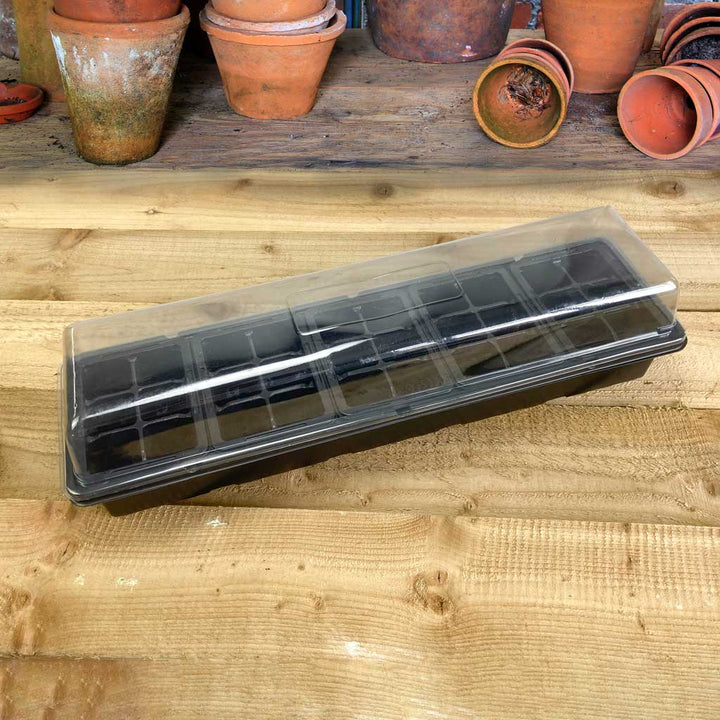 Window Sill Greenhouse