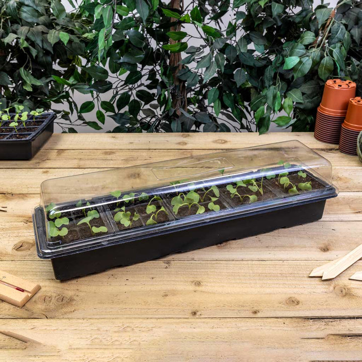 Window Sill Greenhouse