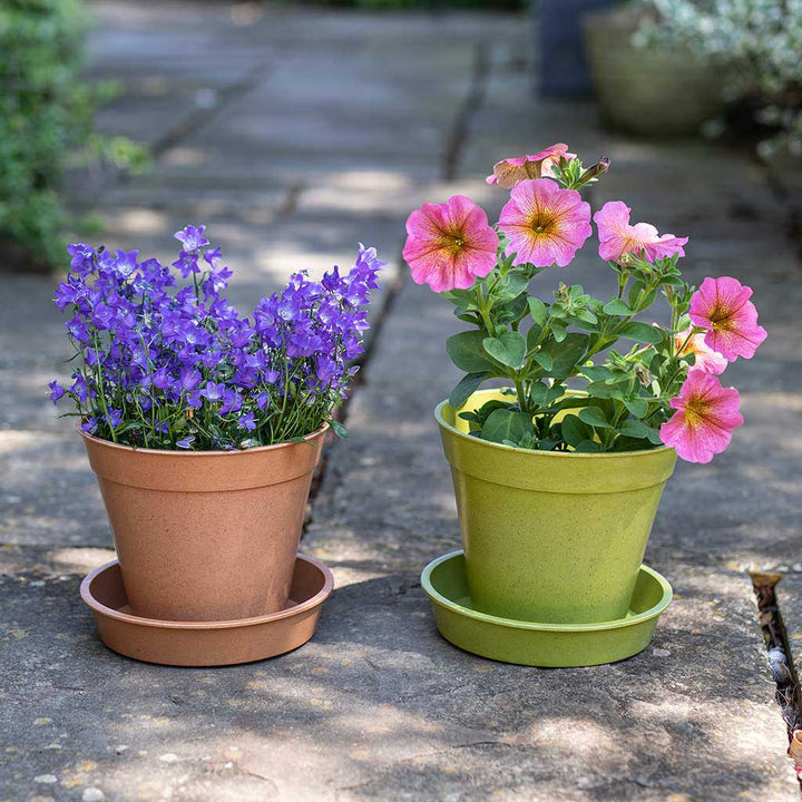 Bamboo Saucer Terracotta 4” -(5)