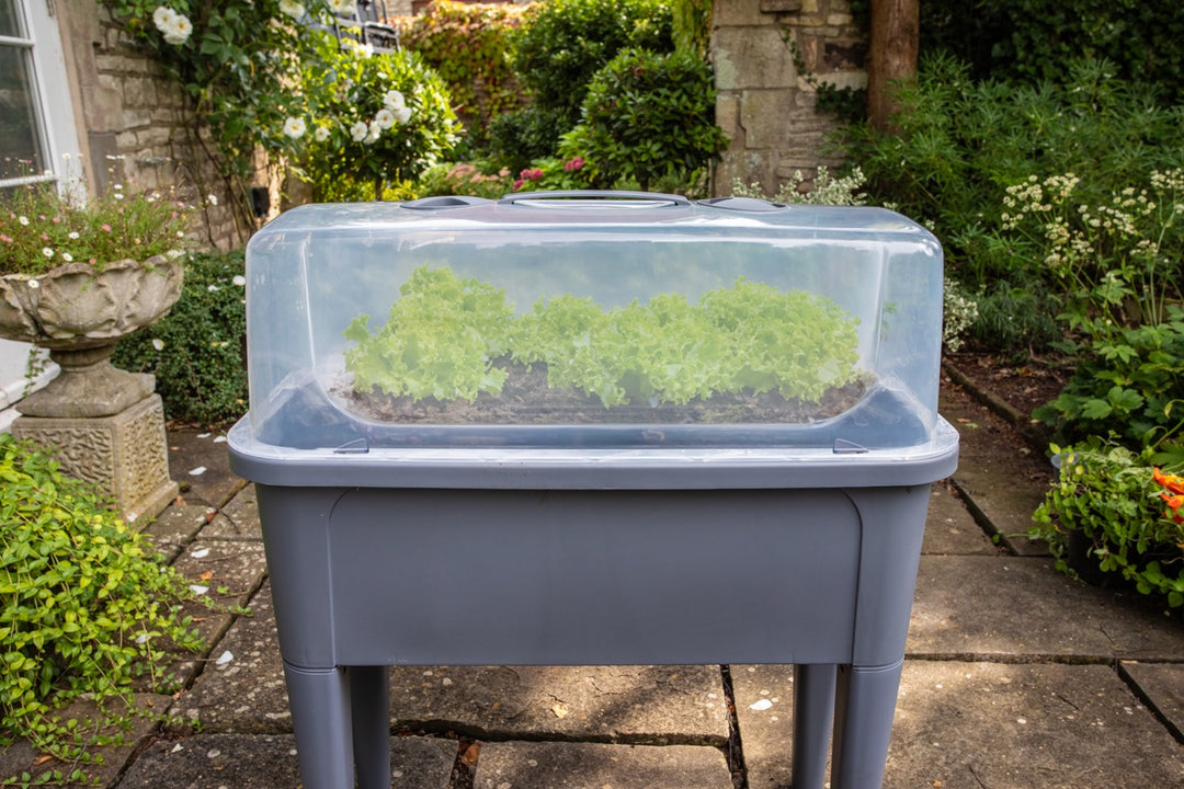 Garden Raised Bed with Lid & Water Indicator