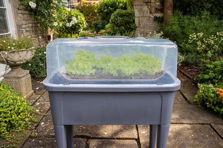 Garden Raised Bed with Lid & Water Indicator