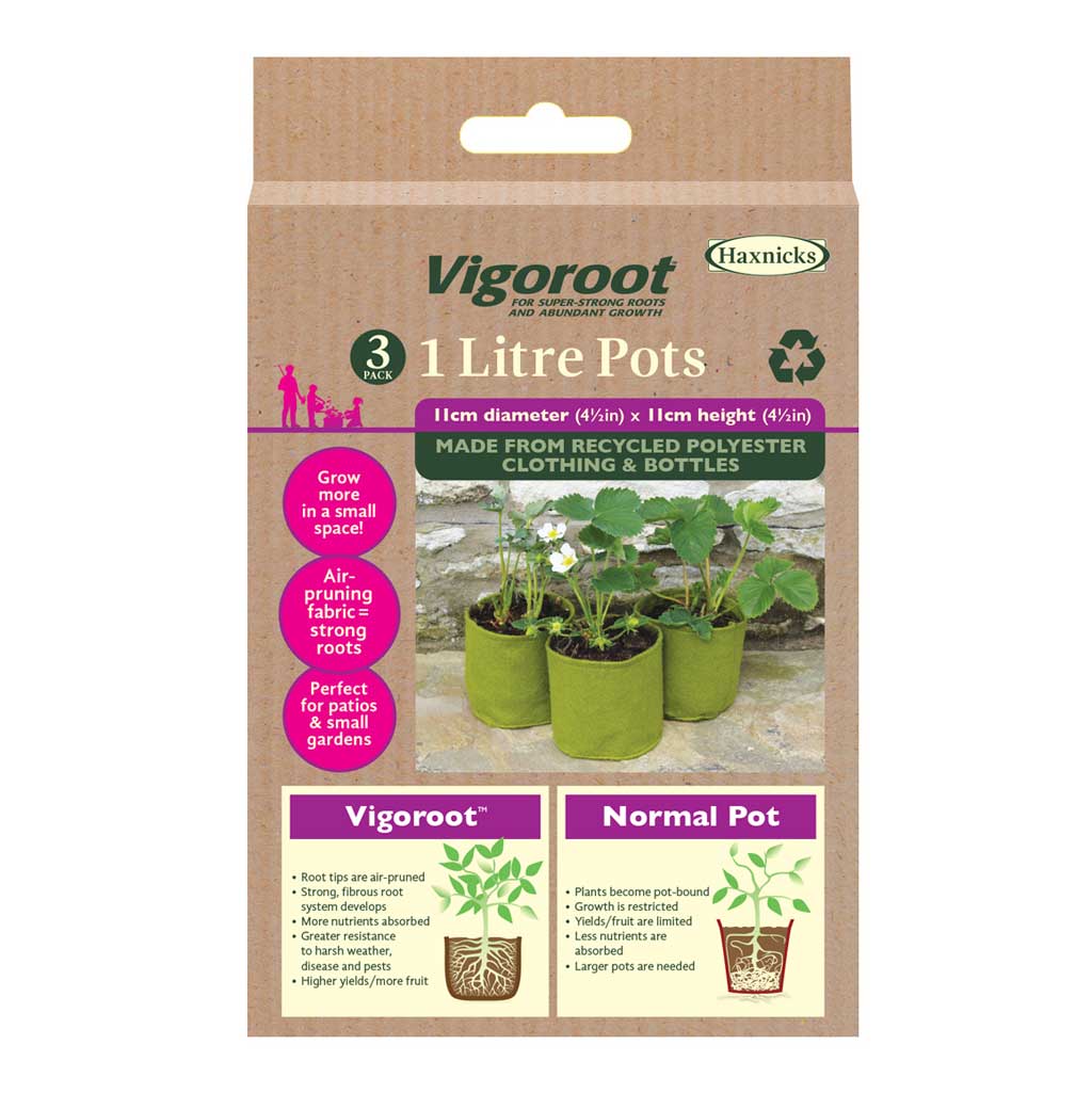 Vigoroot 1 litre pots packaging with plants on a white background