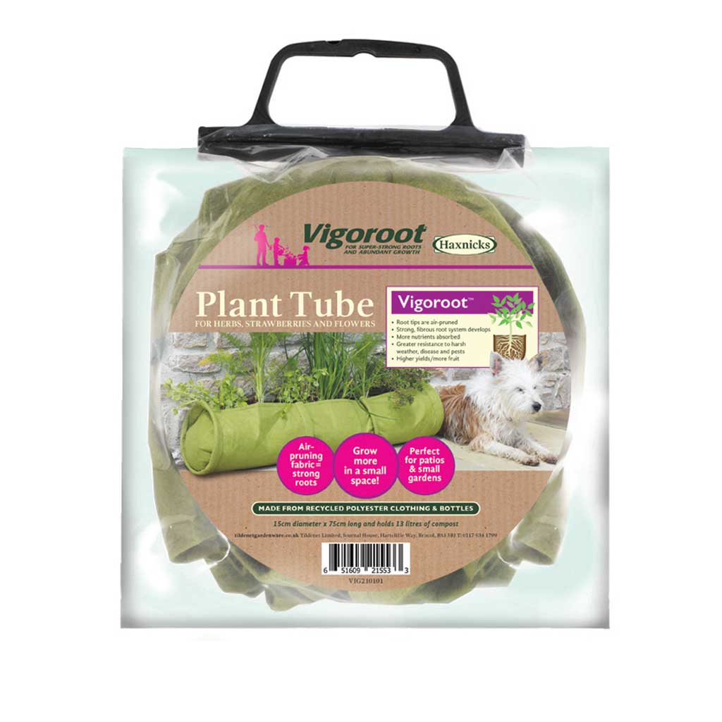 Vigoroot plant tube packaging with a white background