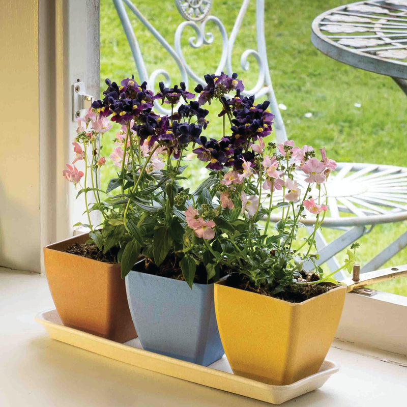 Earth Pots Windowsill Set