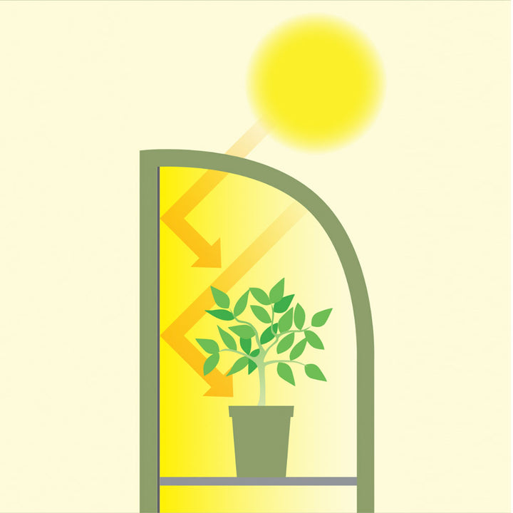 Light Booster Coldframe