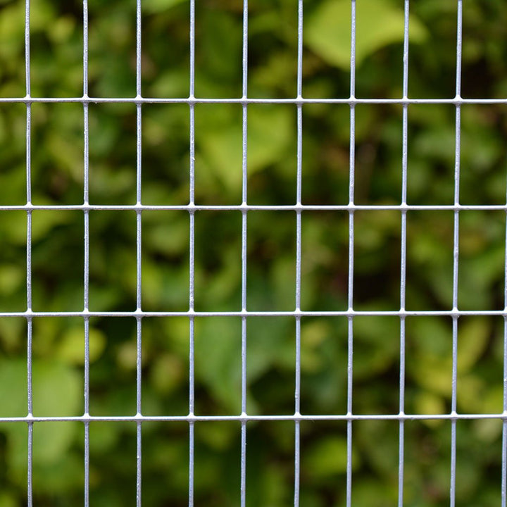 13mm Galvanised Weld Net 0.9m x 6m